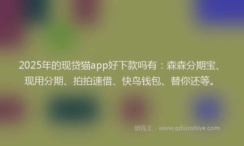 2025年的现贷猫app好下款吗有：森森分期宝、现用分期、拍拍速借、快鸟钱包、替你还等。