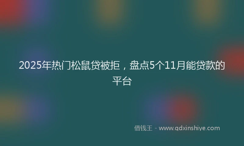 2025年热门松鼠贷被拒，盘点5个11月能贷款的平台