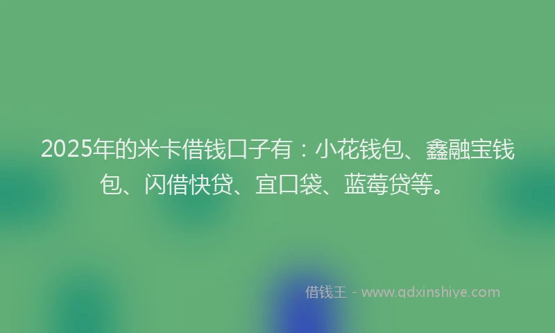 2025年的米卡借钱口子有：小花钱包、鑫融宝钱包、闪借快贷、宜口袋、蓝莓贷等。