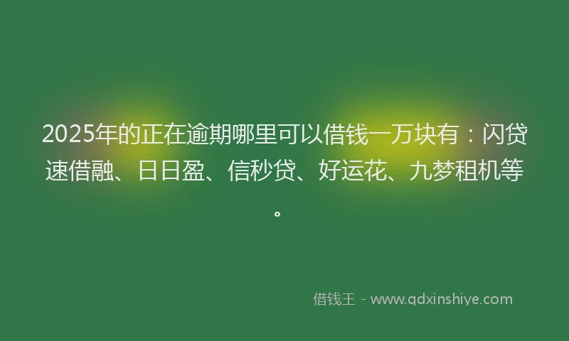 2025年的正在逾期哪里可以借钱一万块有：闪贷速借融、日日盈、信秒贷、好运花、九梦租机等。