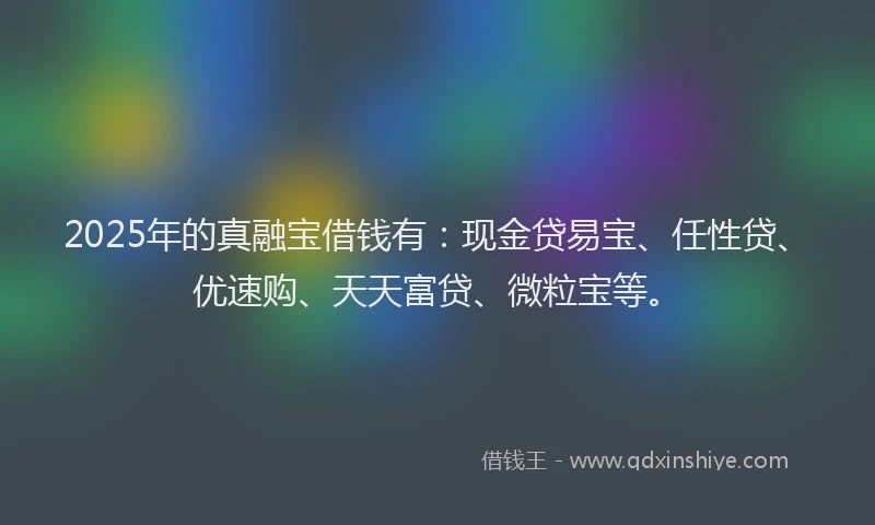 2025年的真融宝借钱有：现金贷易宝、任性贷、优速购、天天富贷、微粒宝等。