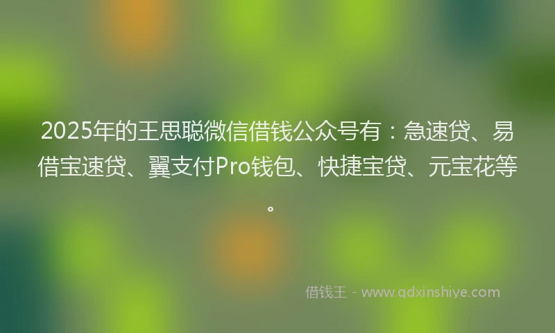 2025年的王思聪微信借钱公众号有：急速贷、易借宝速贷、翼支付Pro钱包、快捷宝贷、元宝花等。