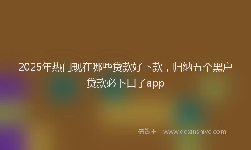 2025年热门现在哪些贷款好下款，归纳五个黑户贷款必下口子app
