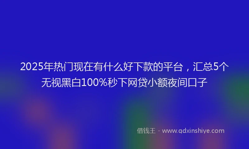 2025年热门现在有什么好下款的平台，汇总5个无视黑白100%秒下网贷小额夜间口子