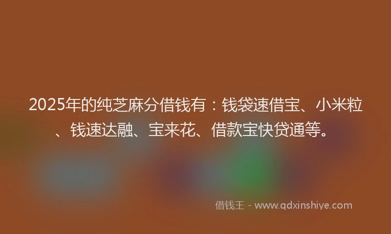2025年的纯芝麻分借钱有：钱袋速借宝、小米粒、钱速达融、宝来花、借款宝快贷通等。