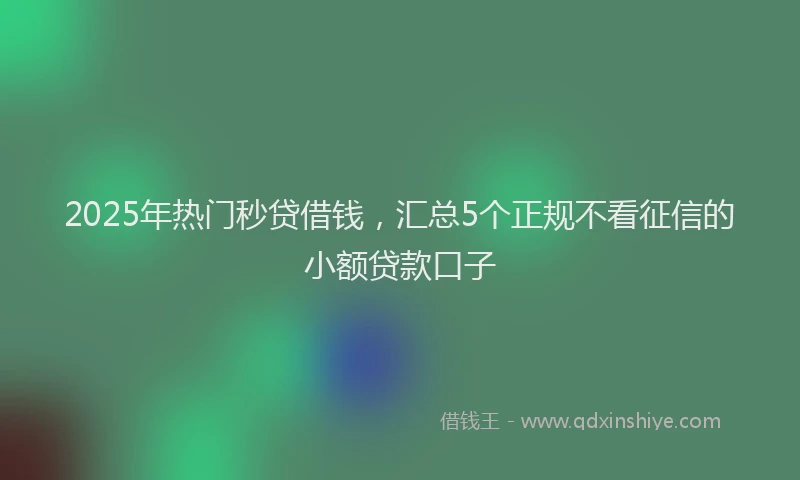 2025年热门秒贷借钱，汇总5个正规不看征信的小额贷款口子