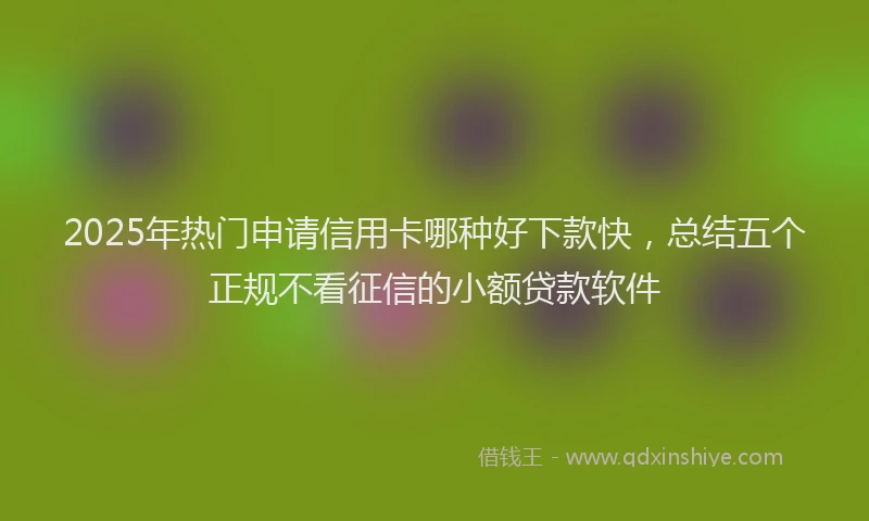 2025年热门申请信用卡哪种好下款快，总结五个正规不看征信的小额贷款软件