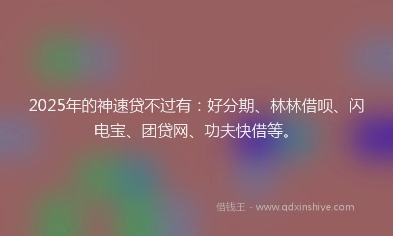 2025年的神速贷不过有：好分期、林林借呗、闪电宝、团贷网、功夫快借等。