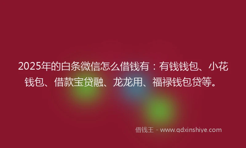 2025年的白条微信怎么借钱有：有钱钱包、小花钱包、借款宝贷融、龙龙用、福禄钱包贷等。