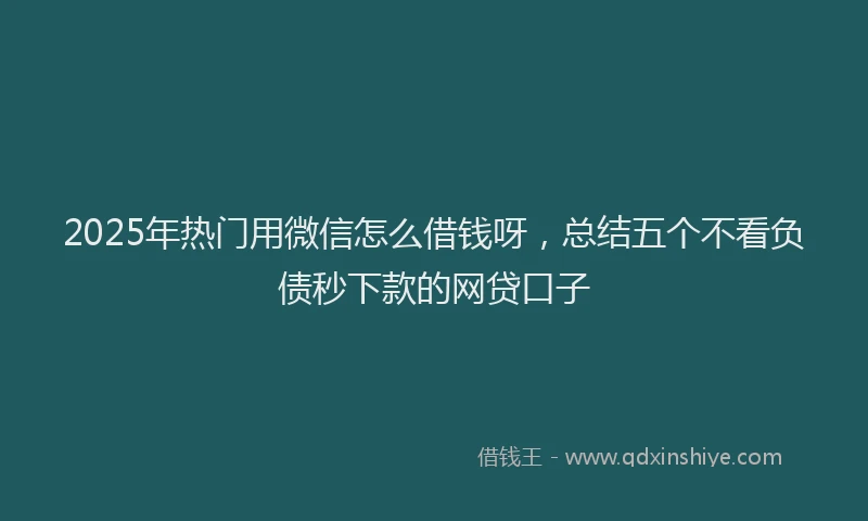 2025年热门用微信怎么借钱呀，总结五个不看负债秒下款的网贷口子