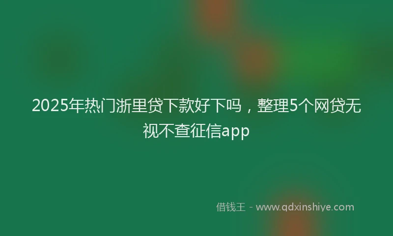 2025年热门浙里贷下款好下吗，整理5个网贷无视不查征信app