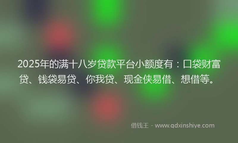 2025年的满十八岁贷款平台小额度有：口袋财富贷、钱袋易贷、你我贷、现金侠易借、想借等。