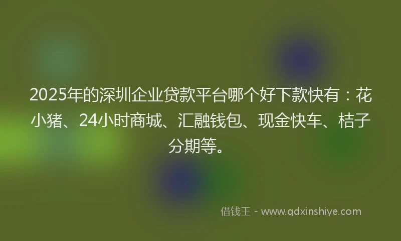 2025年的深圳企业贷款平台哪个好下款快有：花小猪、24小时商城、汇融钱包、现金快车、桔子分期等。