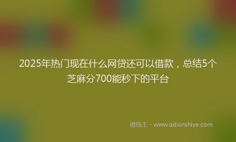 2025年热门现在什么网贷还可以借款，总结5个芝麻分700能秒下的平台