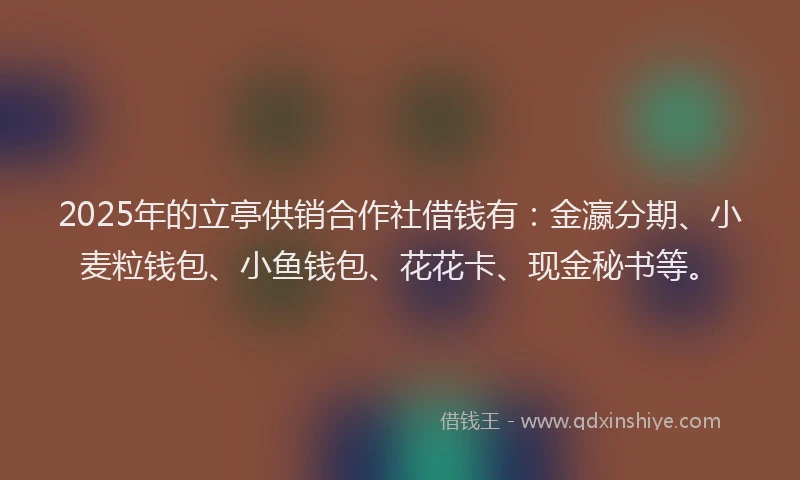 2025年的立亭供销合作社借钱有：金瀛分期、小麦粒钱包、小鱼钱包、花花卡、现金秘书等。