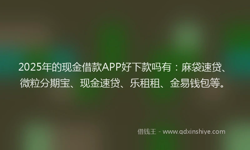 2025年的现金借款APP好下款吗有：麻袋速贷、微粒分期宝、现金速贷、乐租租、金易钱包等。