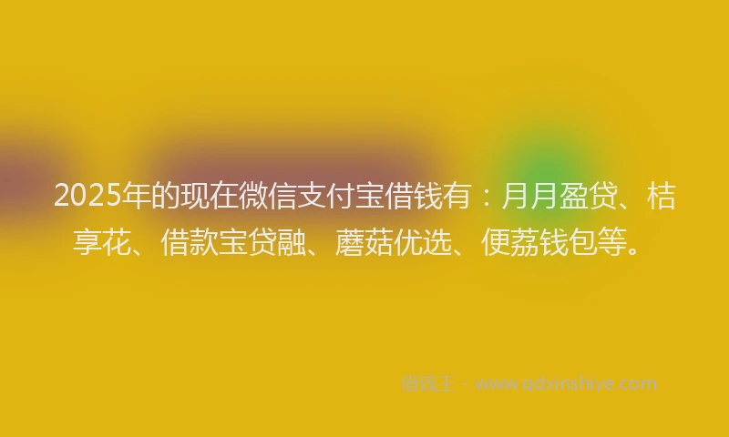 2025年的现在微信支付宝借钱有：月月盈贷、桔享花、借款宝贷融、蘑菇优选、便荔钱包等。