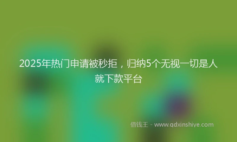 2025年热门申请被秒拒，归纳5个无视一切是人就下款平台