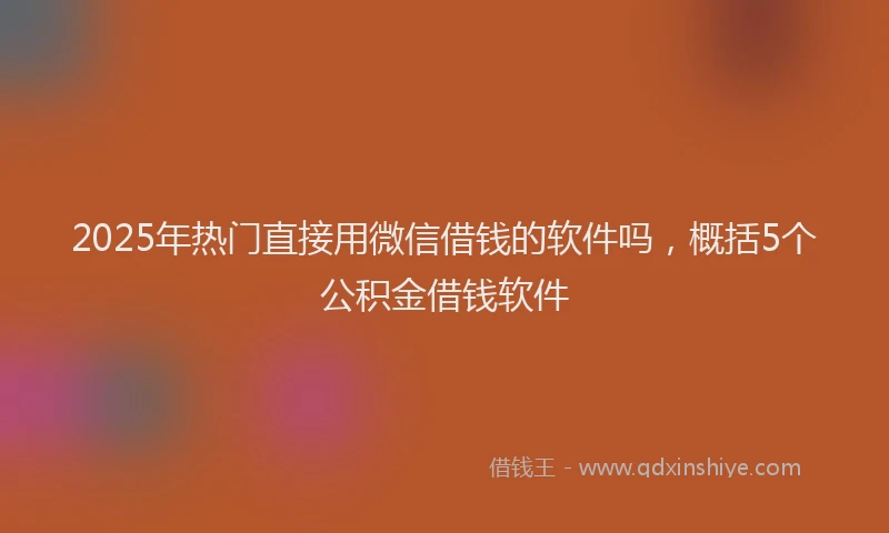 2025年热门直接用微信借钱的软件吗，概括5个公积金借钱软件