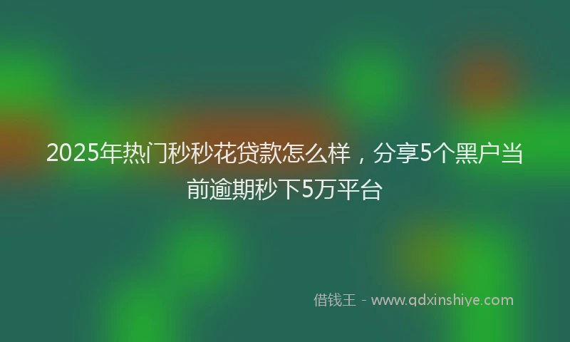 2025年热门秒秒花贷款怎么样，分享5个黑户当前逾期秒下5万平台