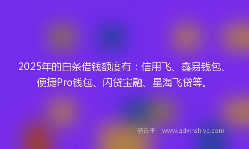 2025年的白条借钱额度有：信用飞、鑫易钱包、便捷Pro钱包、闪贷宝融、星海飞贷等。