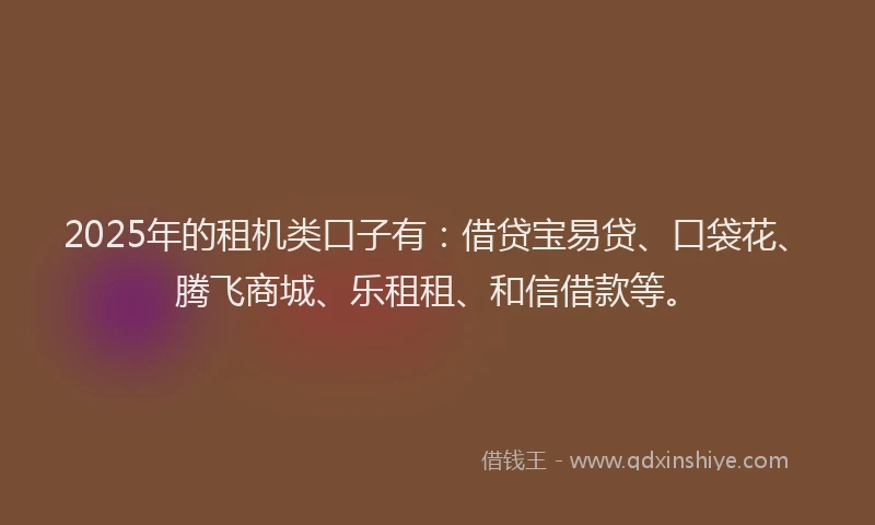2025年的租机类口子有：借贷宝易贷、口袋花、腾飞商城、乐租租、和信借款等。