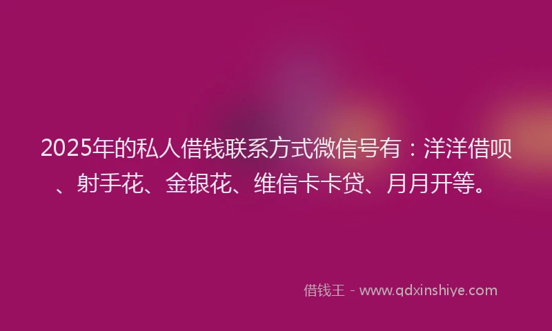 2025年的私人借钱联系方式微信号有：洋洋借呗、射手花、金银花、维信卡卡贷、月月开等。