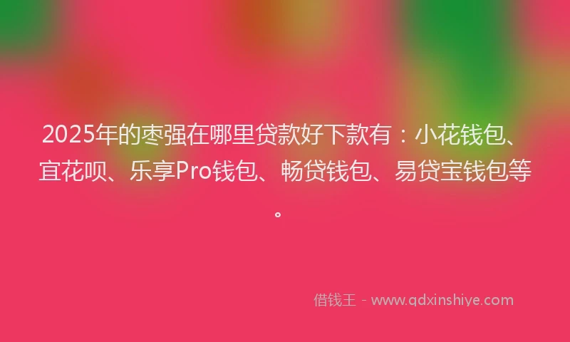 2025年的枣强在哪里贷款好下款有：小花钱包、宜花呗、乐享Pro钱包、畅贷钱包、易贷宝钱包等。