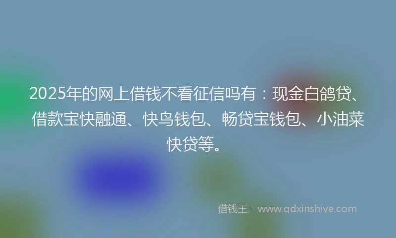 2025年的网上借钱不看征信吗有：现金白鸽贷、借款宝快融通、快鸟钱包、畅贷宝钱包、小油菜快贷等。