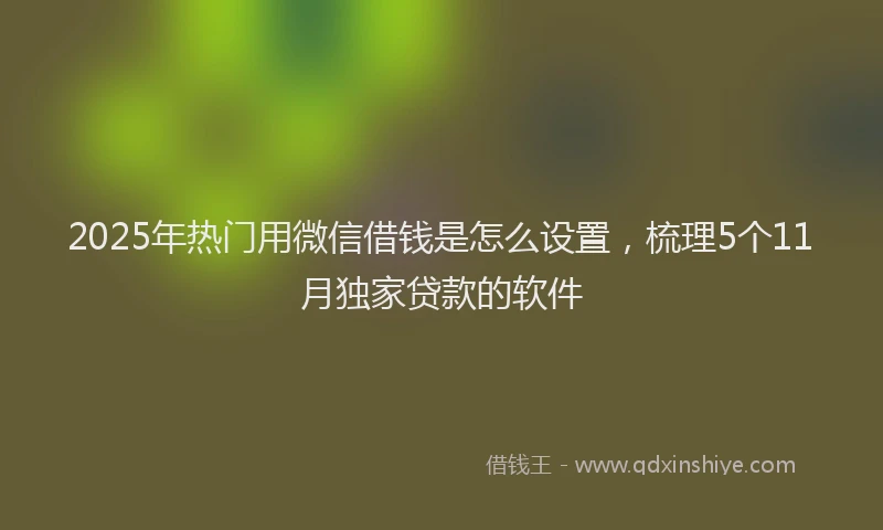 2025年热门用微信借钱是怎么设置，梳理5个11月独家贷款的软件