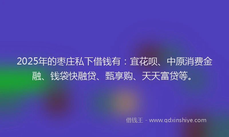 2025年的枣庄私下借钱有：宜花呗、中原消费金融、钱袋快融贷、甄享购、天天富贷等。