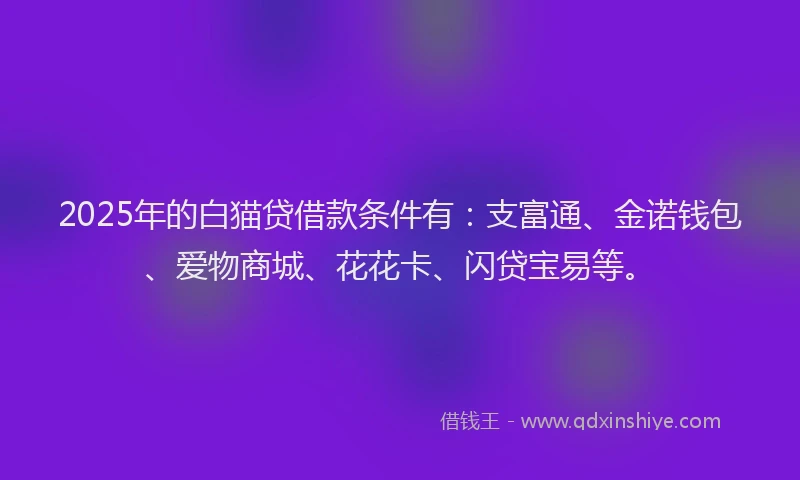 2025年的白猫贷借款条件有：支富通、金诺钱包、爱物商城、花花卡、闪贷宝易等。