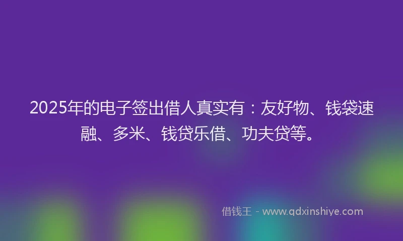 2025年的电子签出借人真实有：友好物、钱袋速融、多米、钱贷乐借、功夫贷等。