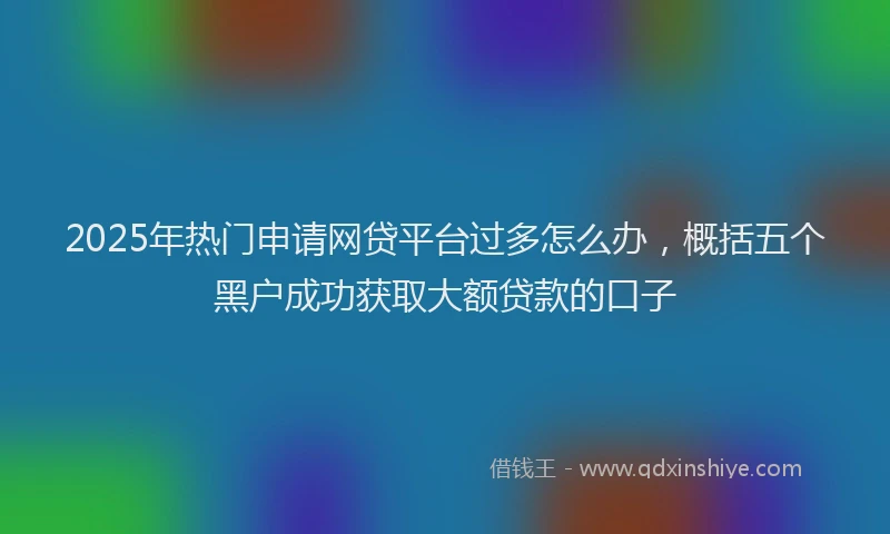2025年热门申请网贷平台过多怎么办，概括五个黑户成功获取大额贷款的口子