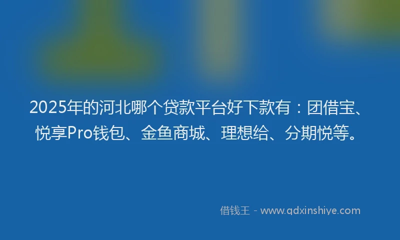 2025年的河北哪个贷款平台好下款有：团借宝、悦享Pro钱包、金鱼商城、理想给、分期悦等。