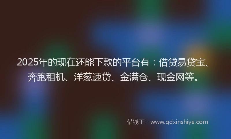 2025年的现在还能下款的平台有：借贷易贷宝、奔跑租机、洋葱速贷、金满仓、现金网等。