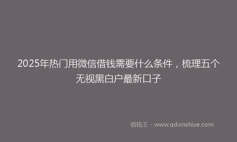 2025年热门用微信借钱需要什么条件，梳理五个无视黑白户最新口子