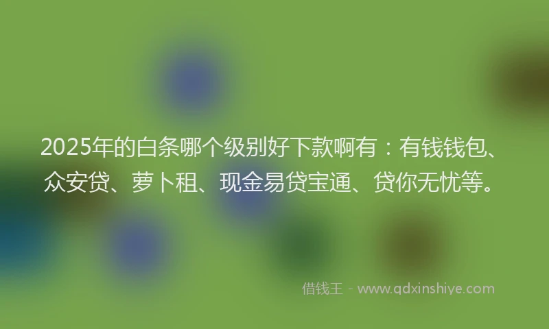 2025年的白条哪个级别好下款啊有：有钱钱包、众安贷、萝卜租、现金易贷宝通、贷你无忧等。