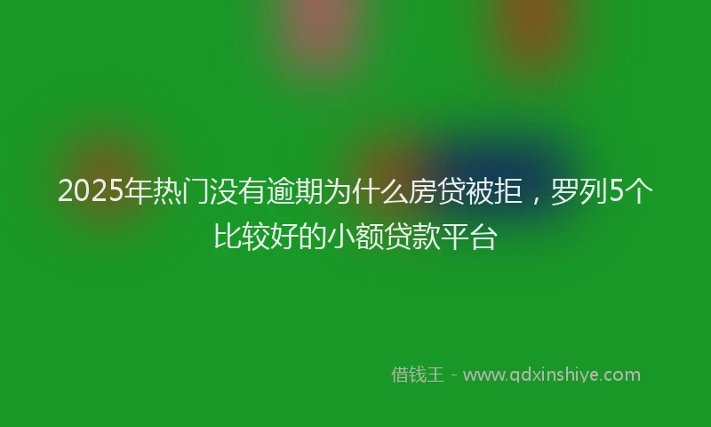 2025年热门没有逾期为什么房贷被拒，罗列5个比较好的小额贷款平台