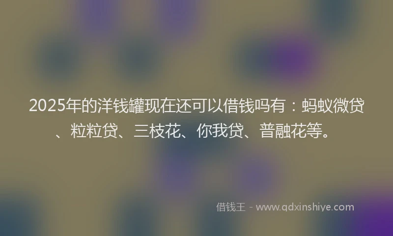 2025年的洋钱罐现在还可以借钱吗有：蚂蚁微贷、粒粒贷、三枝花、你我贷、普融花等。