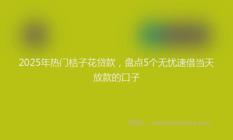 2025年热门桔子花贷款，盘点5个无忧速借当天放款的口子