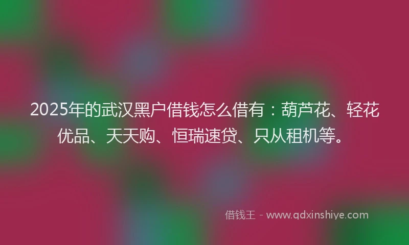 2025年的武汉黑户借钱怎么借有：葫芦花、轻花优品、天天购、恒瑞速贷、只从租机等。