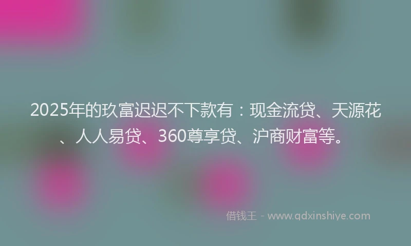 2025年的玖富迟迟不下款有：现金流贷、天源花、人人易贷、360尊享贷、沪商财富等。