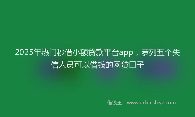 2025年热门秒借小额贷款平台app，罗列五个失信人员可以借钱的网贷口子