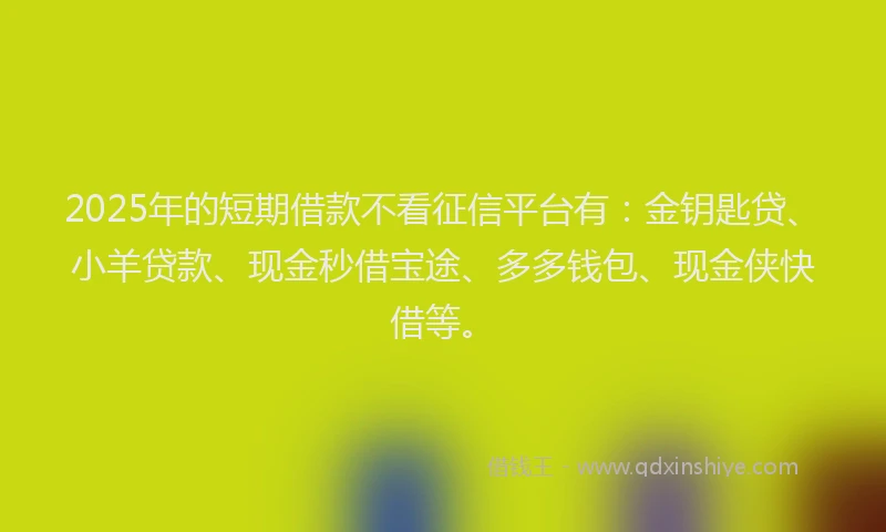 2025年的短期借款不看征信平台有：金钥匙贷、小羊贷款、现金秒借宝途、多多钱包、现金侠快借等。