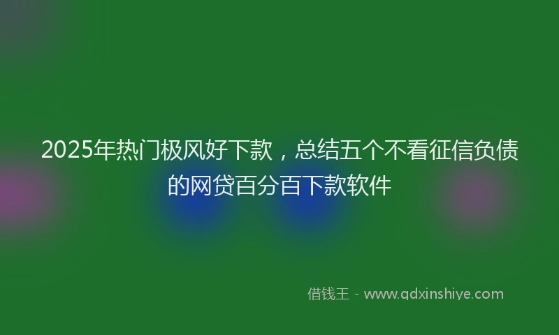 2025年热门极风好下款，总结五个不看征信负债的网贷百分百下款软件