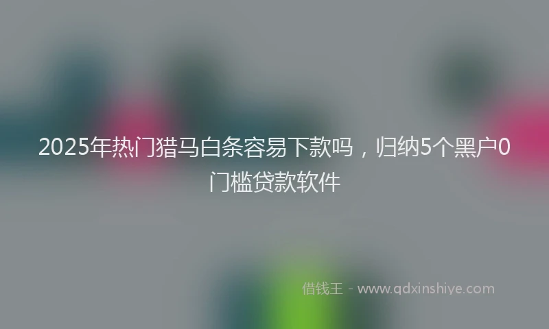 2025年热门猎马白条容易下款吗，归纳5个黑户0门槛贷款软件