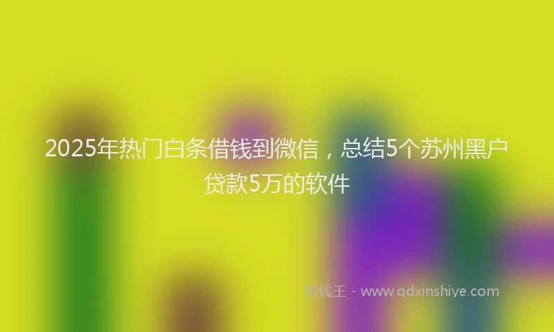 2025年热门白条借钱到微信，总结5个苏州黑户贷款5万的软件