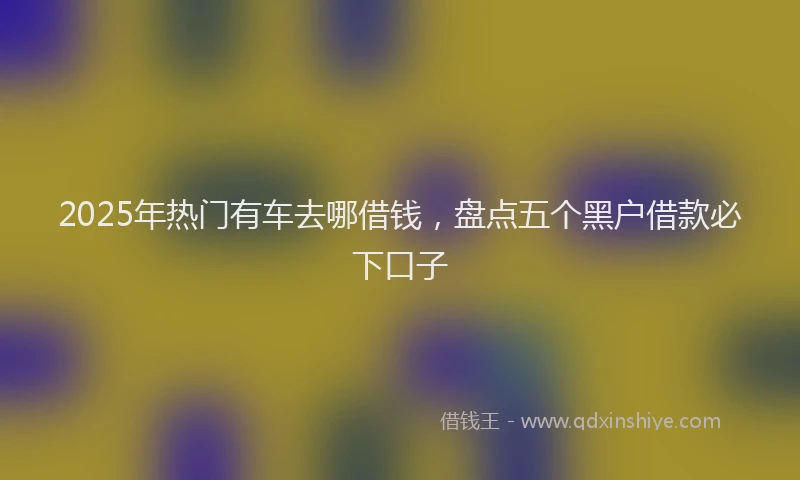 2025年热门有车去哪借钱，盘点五个黑户借款必下口子