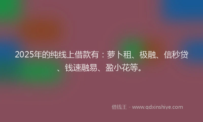 2025年的纯线上借款有：萝卜租、极融、信秒贷、钱速融易、盈小花等。